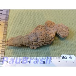 Coprolithe - Coprolite de Saurien de 59g