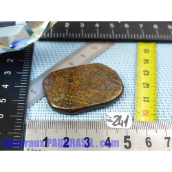 Bronzite en Pierre Plate Fine 16gr50