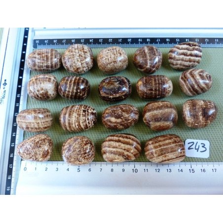 Aragonite Zonée Pierre Roulée à l unité de 27 à 30 gr | Minéraux Paubrasil