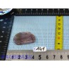 Cacoxenite en Tranche Plate Q Extra 6g