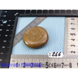 Aragonite en Galet Plat 24gr