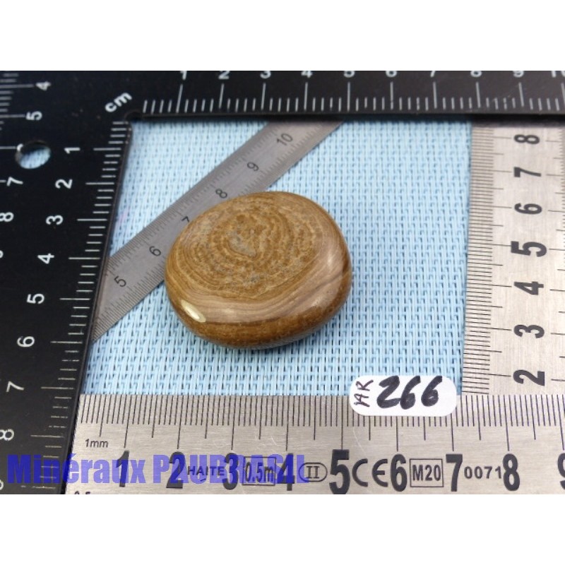 Aragonite en Galet Plat 24gr