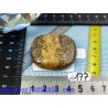 Jaspe leopard en pierre plate de 30gr