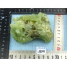 Prehnite brute 326g