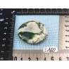 Agate arborisée - agate arbre  pierre plate Inde 28g