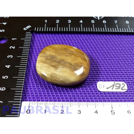 Bois Fossilisé pierre plate 22g qualité Extra Madagascar Bois Fossilisé pierre plate 22g qualité Extra Madagascar