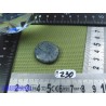 Corail Bleu en Pierre plate mini 6g50