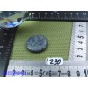 Corail Bleu en Pierre plate mini 6g50