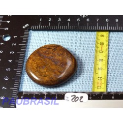 Bronzite en Pierre Plate 45g