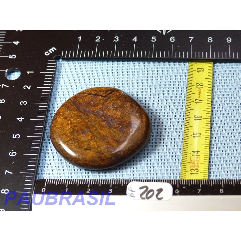 Bronzite en Pierre Plate 45g
