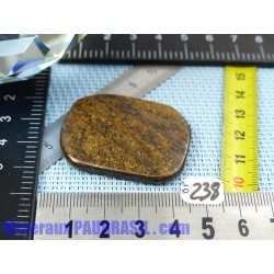 Bronzite en Pierre Plate Fine 16gr50