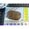 Bronzite en Pierre Plate Fine 16gr50
