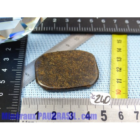 Bronzite en Pierre Plate Fine 18g Bronzite en Pierre Plate Fine 18g