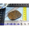 Bronzite en Pierre Plate Fine 18g