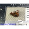 Jaspe Rouge Breschia en Pierre Roulée 26gr50