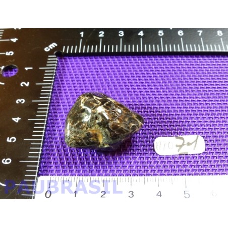 Agate Turitelle - Turritellas Jaspis 18gr Agate Turitelle - Turritellas Jaspis 18gr