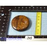 Bronzite en Pierre Plate 41g