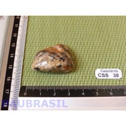 Cassiterite sur quartz en pierre roulée 14g