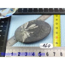 Pierre Chrysanthème Chrysanthemum stone 44gr50