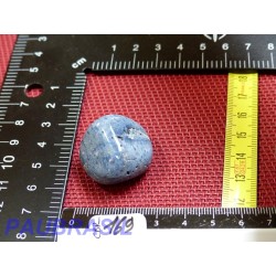 Corail Bleu en Pierre Roulée 16g