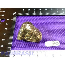 Agate Turitelle - Turritellas Jaspis 23gr