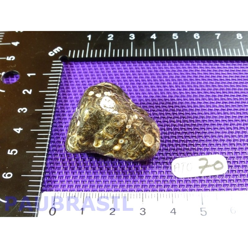 Agate Turitelle - Turritellas Jaspis 23gr