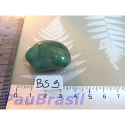 Budstone - Buddstone - Prase en pierre roulée de 16g