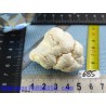 Magnésite en Pierre Semi Roulée 64g