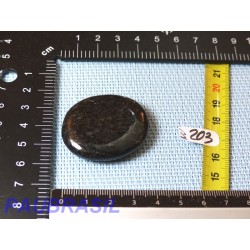 Nuummite en pierre plate de 24gr