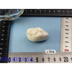 Howlite Véritable en Pierre Roulée 35g