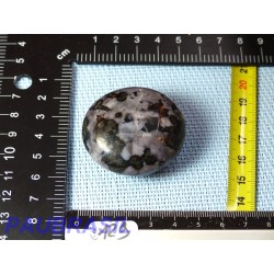 Gabbro Merlinite en galet poli de 68gr Q Extra