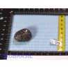 Grenat biotite en pierre roulée de 22g de Madagascar
