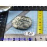 Diorite orbiculaire pierre plate de 27gr Rare