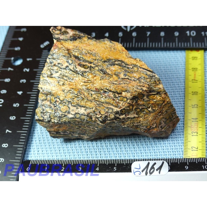 Jaspe Leopard Pierre Brute Q Extra 185gr