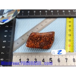 Jaspe Etoilé - Starburst Jasper pierre roulée Q Extra 27g