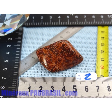 Jaspe Etoilé - Starburst Jasper pierre roulée Q Extra 27g