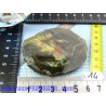 Spectrolite tranche polie de 29gr50 Q Extra