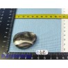 Jaspe Coquille en pierre plate 24g