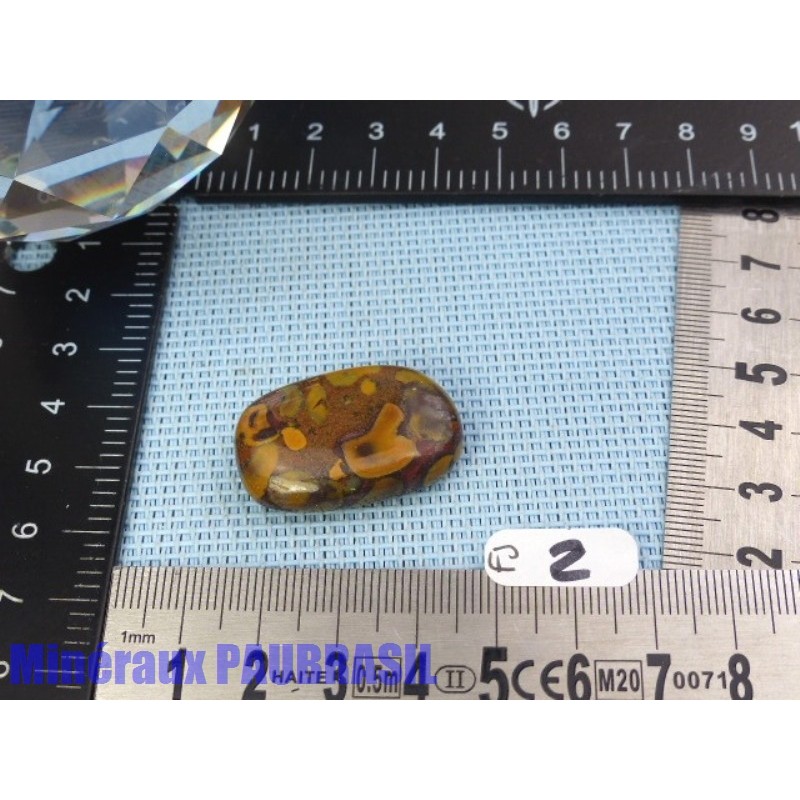 Fruit Jasper - Azubalite - Ajooba Jasper en Pierre Roulee Q Extra Extra 11g