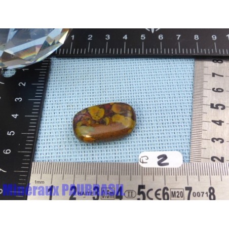 Fruit Jasper - Azubalite - Ajooba Jasper en Pierre Roulee Q Extra Extra 11g
