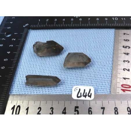 Quartz Fumé Lot de 3 Pointes Brutes 20g | Minéraux Paubrasil
