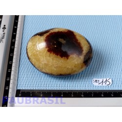 Galet poli en Septaria de 153g