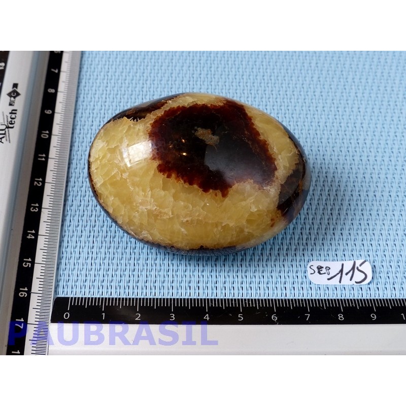 Galet poli en Septaria de 153g