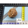 Stromatolite en pierre brute 48g Maroc