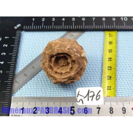 Stromatolite en pierre brute 48g Maroc