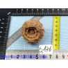 Stromatolite en pierre brute 48g Maroc