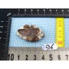 Staurotide Staurolite Croix des fées 19gr Russie