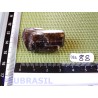 Dravite - Tourmaline ambrée ou acajou brute de 20gr