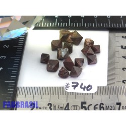 13 Magnétites octaédriques de 12.5g les 13