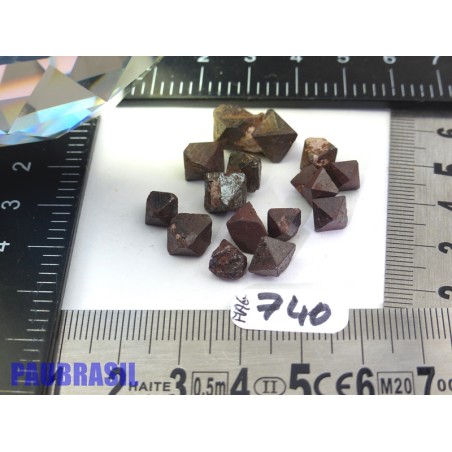 13 Magnétites octaédriques de 12.5g les 13 13 Magnétites octaédriques de 12.5g les 13